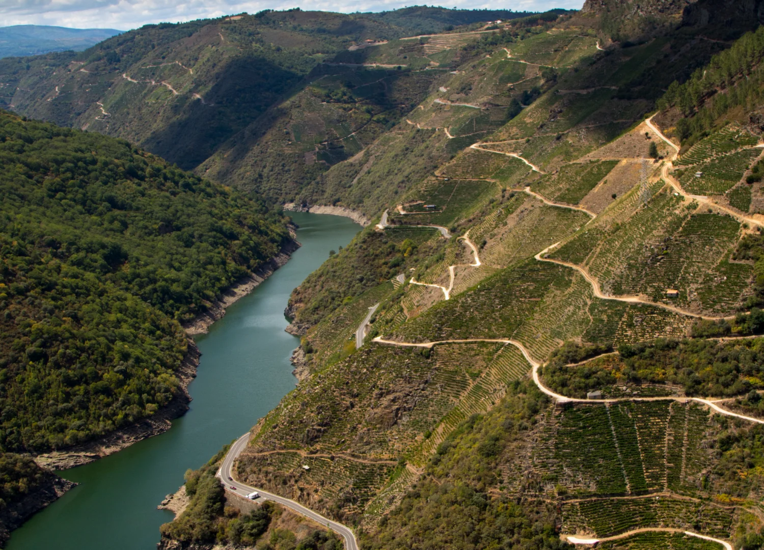 Vistas de la Ribera Sacra