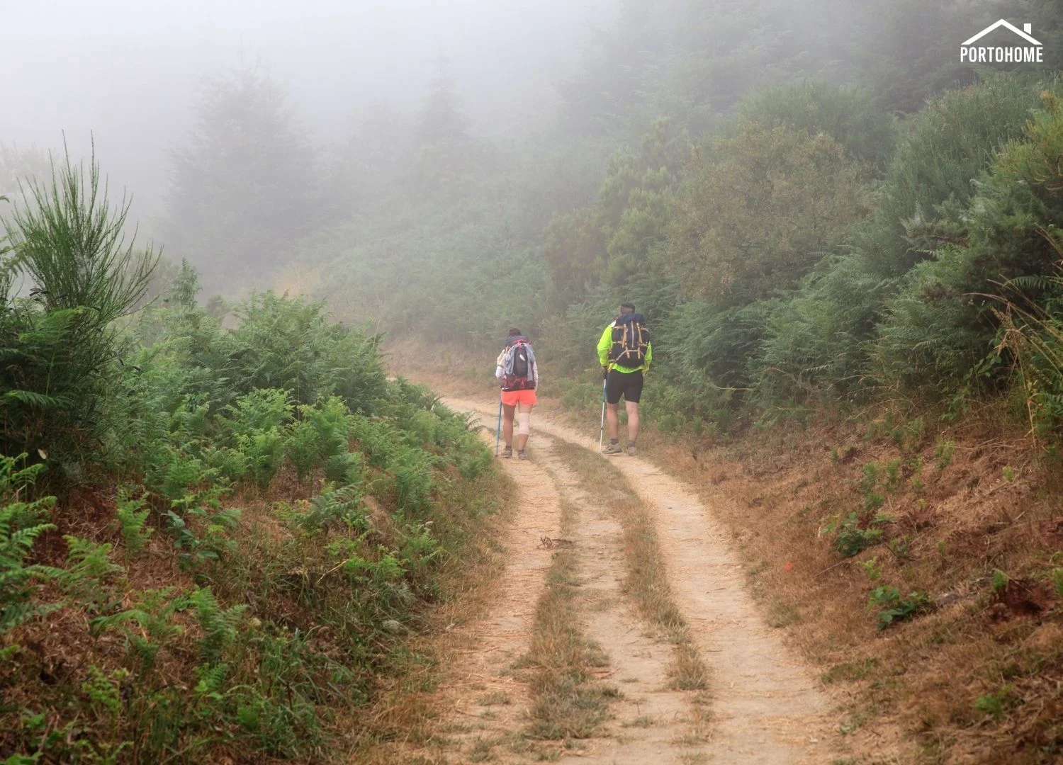 Camino de Santiago en otoño: etapa Sarria-Portomarín